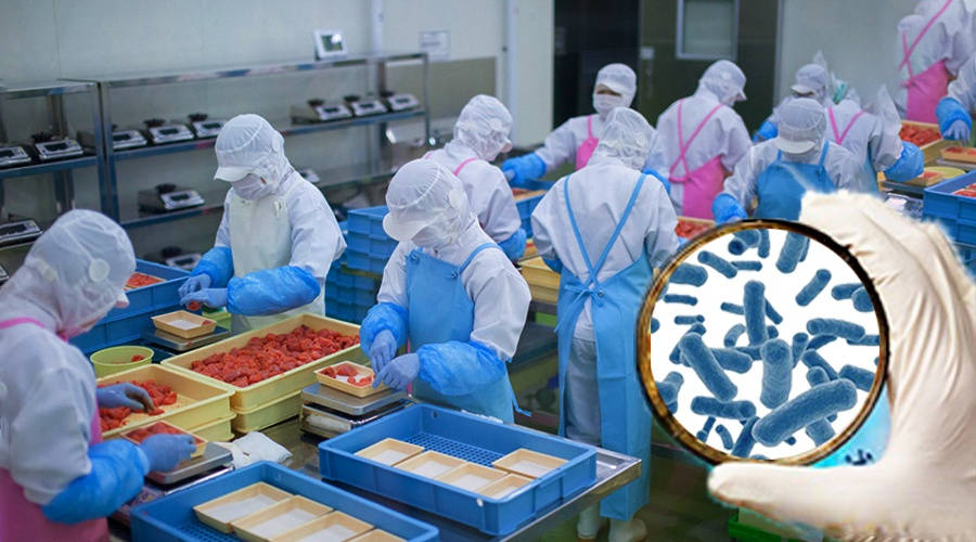 食品生产车间的致病菌环境监控