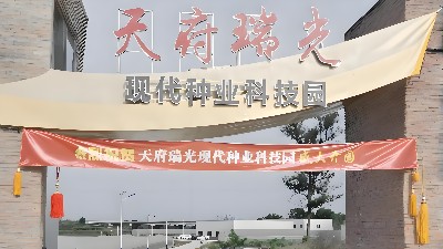 四川天府瑞光（种都高科）农业科技园弱电工程项目
